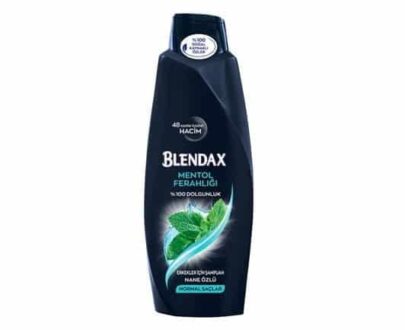 Blendax Şampuan Erkekler İçin Mentollü 550 ml