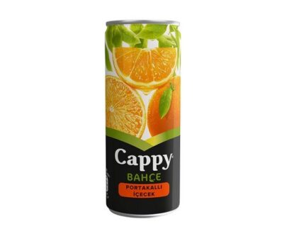 cappy-portakalli-nektar-250-ml-4cb-8e
